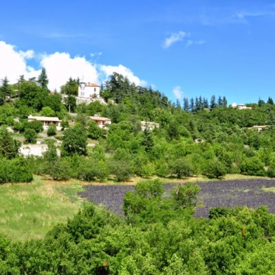 Sault, capital mundial da lavanda